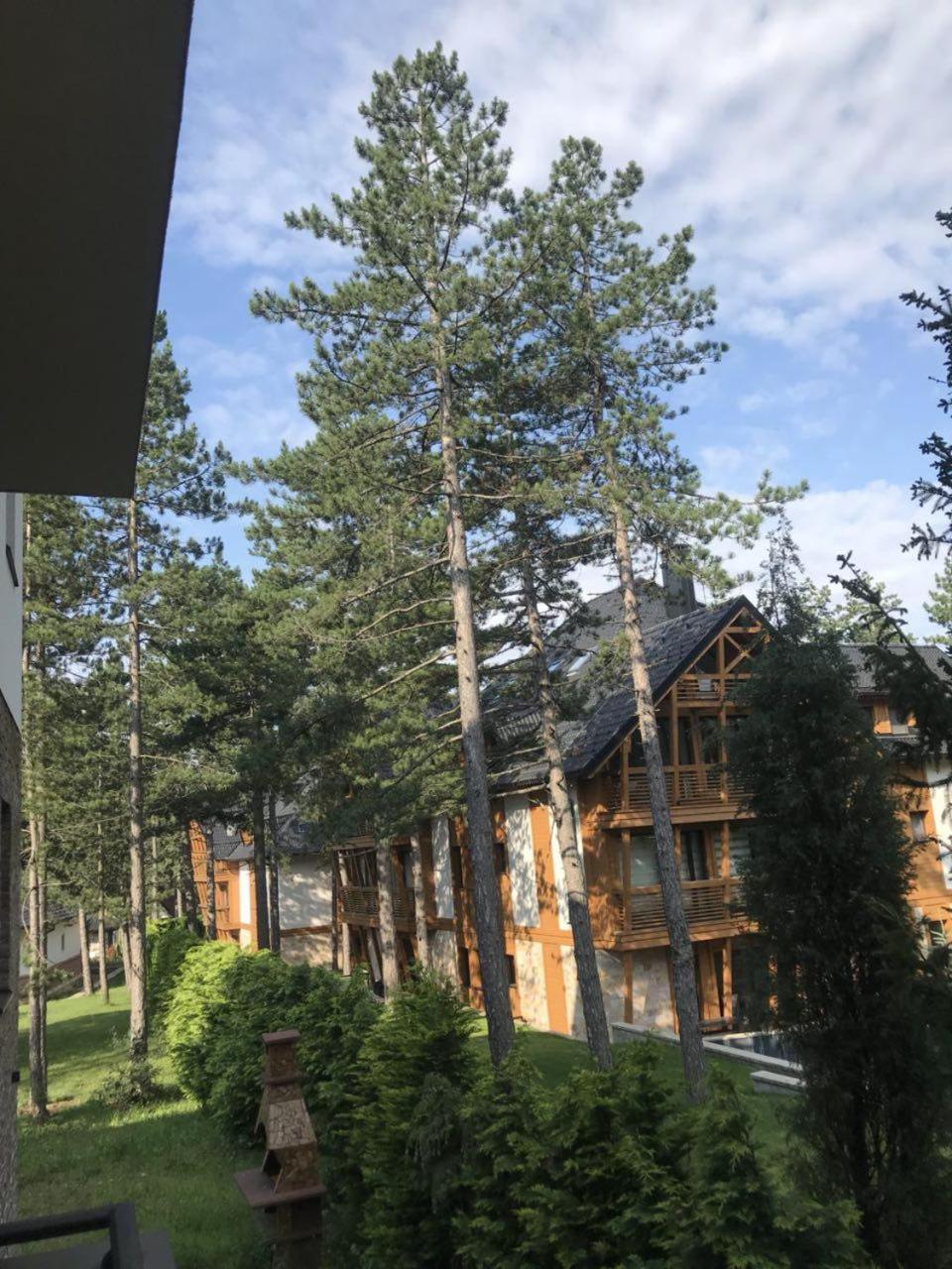 Lux Apartman Daria Zlatibor Dış mekan fotoğraf